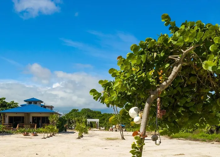 Millionaire's Row Beachfront Luxury Retreat Hotel
