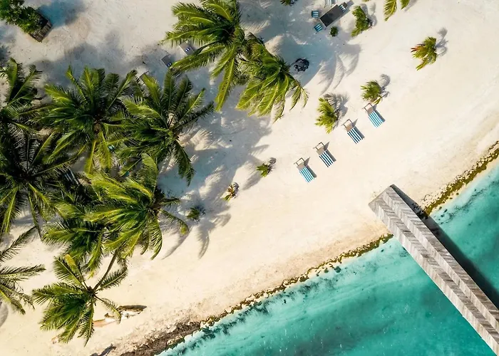 Millionaire's Row Beachfront Luxury Retreat Hotel *